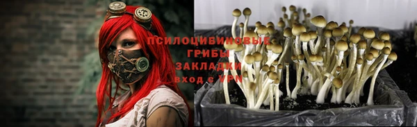 а пвп мука Каменногорск