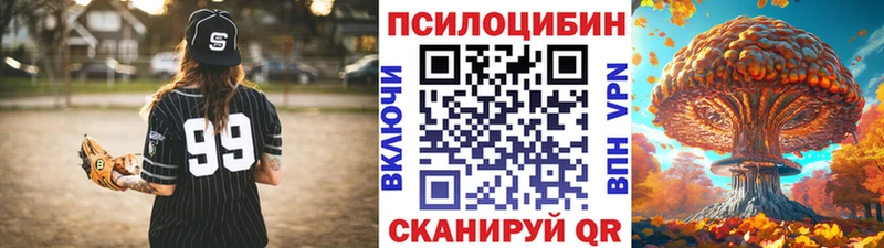 Псилоцибиновые грибы мицелий  Купить закладки  Сибай 